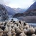 Is Crypto Ready For The Incoming Herd