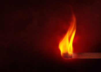 Litecoin Prepares For Fresh new Bull Momentum As Alt Year Cements 