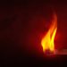 Litecoin Prepares For Fresh new Bull Momentum As Alt Year Cements
