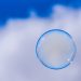 NFTs Will Arise Much better Soon after The Bubble Bursts