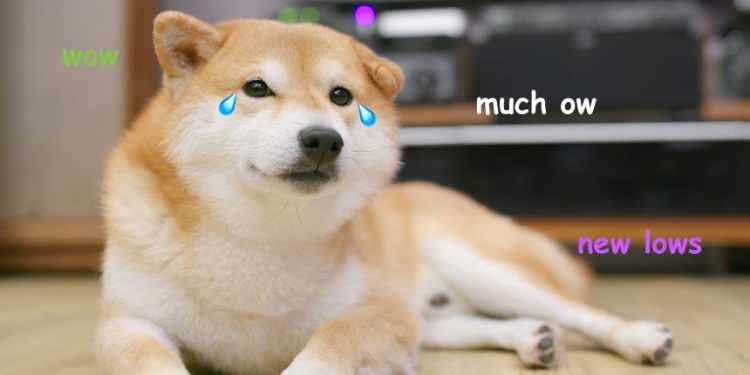 The Two Indicators That Say Dogecoin Holders Are In For “Much Ow”