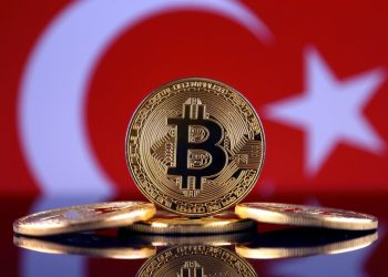 Turkish Central Financial institution Considers Becoming Bitcoin Custodian