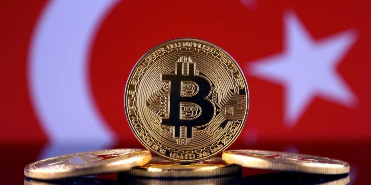 Turkish Central Financial institution Considers Becoming Bitcoin Custodian