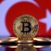 Turkish Central Financial institution Considers Becoming Bitcoin Custodian