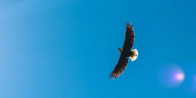 Why ADA could operate hotter than Bitcoin and make 10x gains