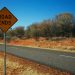 Why Cardano Hoskinson Referred to as Proof-of-Do the job a Highway Nowhere