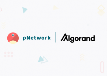 pNetwork And Algorand Start Partnership To Generate Cross-Chain Connections