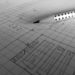 Algomint, Algorand’s Digital Asset Minter, Set To Arrive Q3 2021