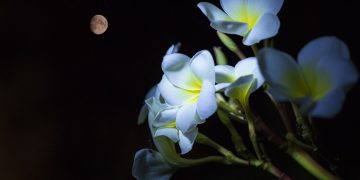 April Showers Could Blossom Return Of Bitcoin Bull Run This Could