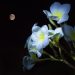 April Showers Could Blossom Return Of Bitcoin Bull Run This Could