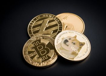 DOGE Good For Cyrpto? Yr Finance’s Andre Cronje Responds