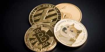 DOGE Good For Cyrpto? Yr Finance’s Andre Cronje Responds