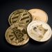DOGE Good For Cyrpto? Yr Finance’s Andre Cronje Responds