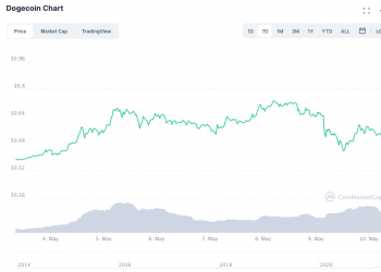 DOGE Misplaced ~30% adhering to Elon Musk’s Saturday Evening Live Appearance