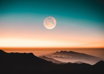 Dave Portnoy Purchases SafeMoon, Suggests He Isn’t going to Know Why