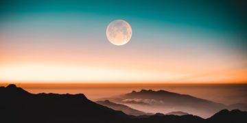 Dave Portnoy Purchases SafeMoon, Suggests He Isn’t going to Know Why