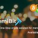 RemiBit Presents Handle Again to The Buyers, How Any Small business Can Get Crypto Payments