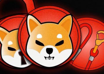 Shiba Inu (SHIB) – Here’s Is What You Should Know About This Crypto Ahead of You Devote