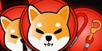Shiba Inu (SHIB) – Here’s Is What You Should Know About This Crypto Ahead of You Devote