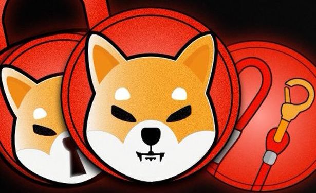Shiba Inu (SHIB) – Here’s Is What You Should Know About This Crypto Ahead of You Devote