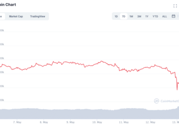 Tesla Suspends Bitcoin Payments: Is Elon Musk Going Cold on Crypto?
