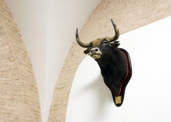 The Bearish Signal Ethereum Bulls Need To Panic