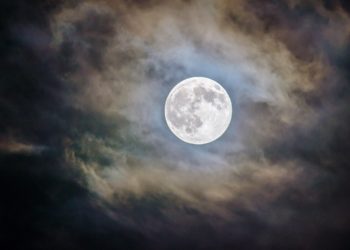 What Elon Musk’s Eyesight Of The Dogecoin Moon Could Glimpse Like