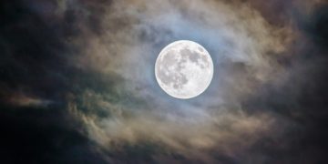 What Elon Musk’s Eyesight Of The Dogecoin Moon Could Glimpse Like