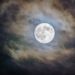 What Elon Musk’s Eyesight Of The Dogecoin Moon Could Glimpse Like