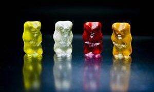 Crypto Market Signals Go Bearish But Long-Term Investors Still Accumulate