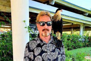 advisory services McAfee's Extradition, Wood's Crypto Shopping, Coinbase In Japan + More News 101