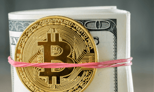 Bitcoin and Inflation: The Evolution of a Virtual Asset into a Real Asset