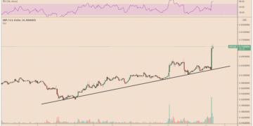 XRP price skyrockets by 17% as double bottom chart pattern takes shape