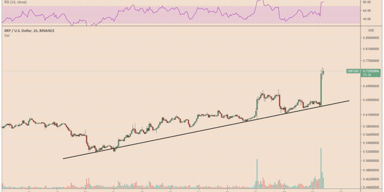 XRP price skyrockets by 17% as double bottom chart pattern takes shape