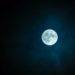 Terra Surges 281% in 1 Month, Analyst Says $LUNA Carrying the Team Right Now