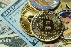 analyst Why Fiat Currency Is More Confusing Than Crypto 101