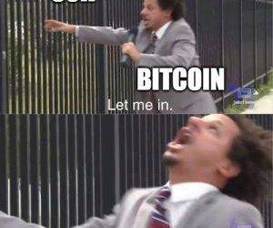 Bitcoin Testing, Twitter Bitcoining, Kids Winning and 20 Crypto Jokes