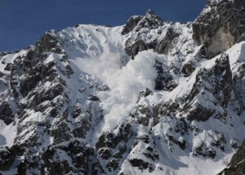 Coin Bureau Updates Followers on Year End Price Target for Avalanche ($AVAX)