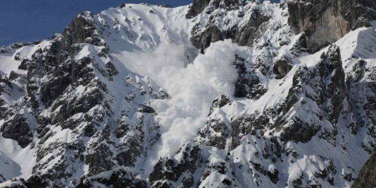 Coin Bureau Updates Followers on Year End Price Target for Avalanche ($AVAX)