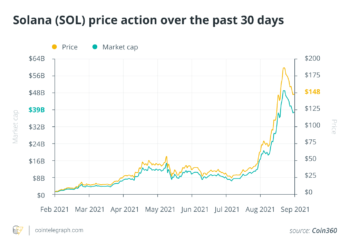 Ethereum killers or just pretenders? But Ether remains king for now