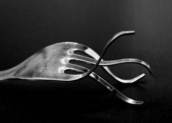 5 bitcoin forks: how they performed against btc?
