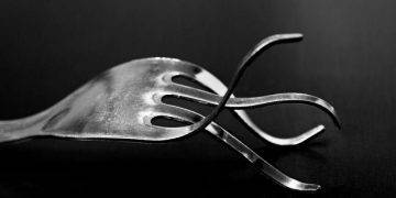 5 bitcoin forks: how they performed against btc?