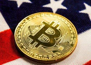 americans have owned crypto