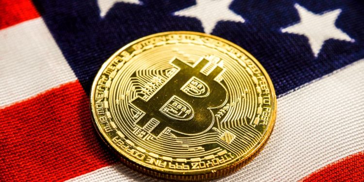 americans have owned crypto