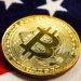 americans have owned crypto