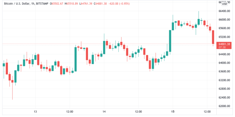 bitcoin falls from $66k highs, tesla down 3% after elon musk warns he could sell more stock