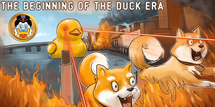 crypto trading 1 on 1: shiba inu (77,842,531% in a year) vs richquack (4,797% in a month)