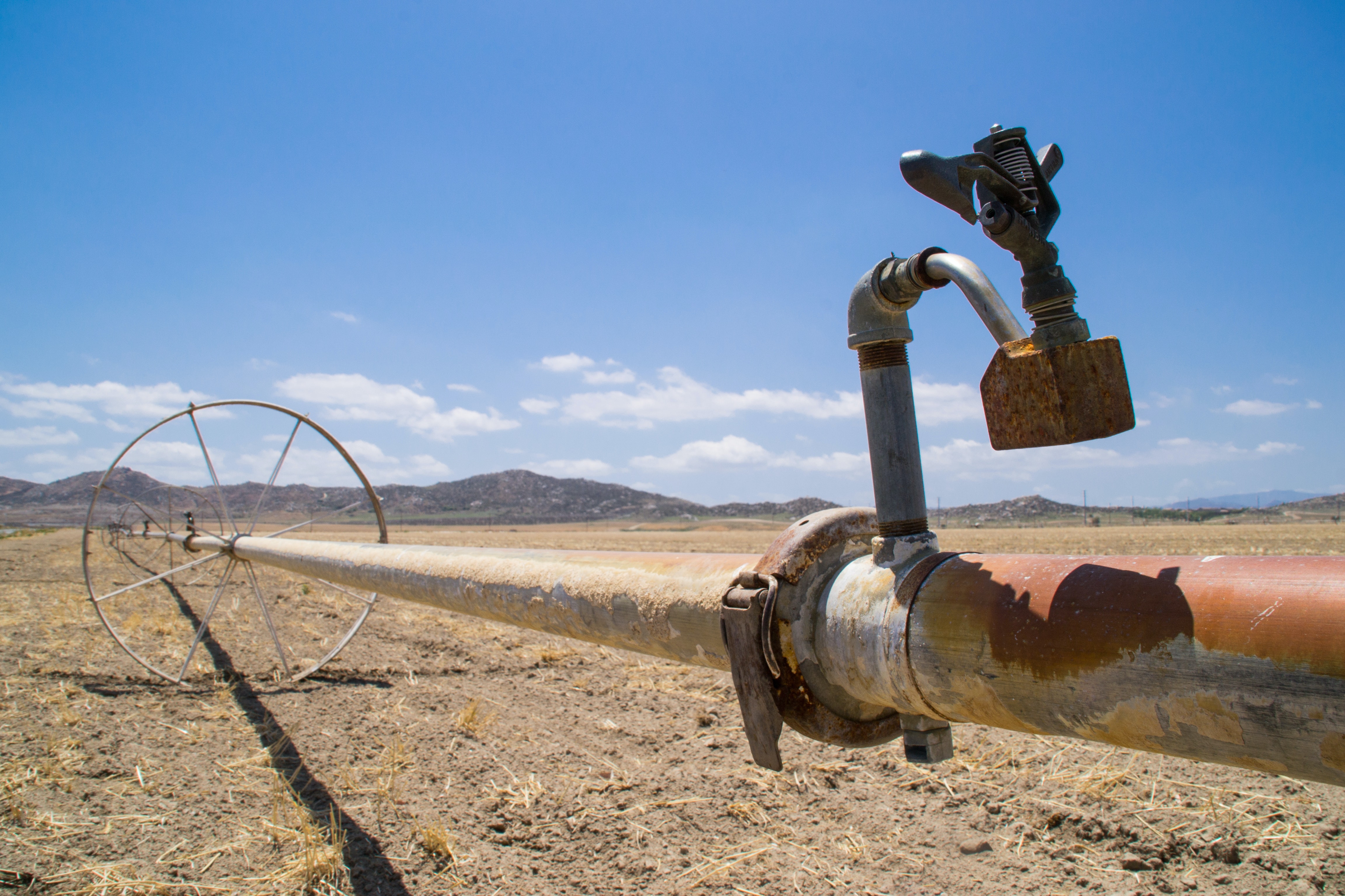 bank A water pipe across dry farmland