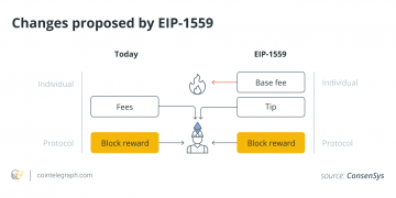 inside the blockchain developer’s mind: what is a testnet?