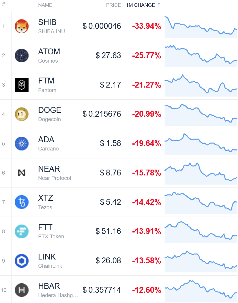 cardano market